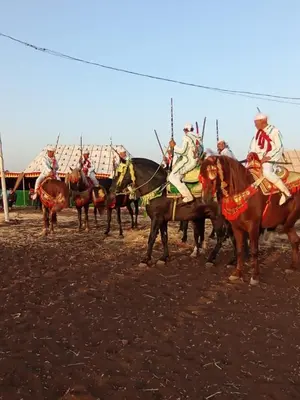 a group of men riding on horses in a field at KHaIMA