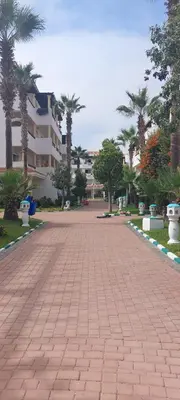 a brick walkway in front of a building with palm trees at Garden Beach 2 in Sidi Rahal