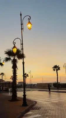 a street light with palm trees in a parking lot at Immense appartement familial vue sur mer in Rabat