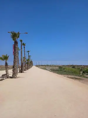 a dirt road with palm trees on the beach at Duplex Vue Piscine et Jardin Océan Park à Zenata City Eco in Aïn Harrouda