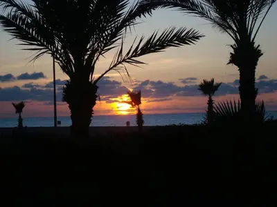 a sunset on a beach with palm trees and the ocean at Appart face à la mer Garden Beach Sidi Rahal plage in Sidi Rahal