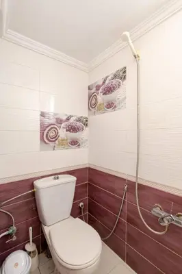 a bathroom with a toilet and a shower at Layover Guest House - Studio Rabat City Center - 4th Floor in Rabat