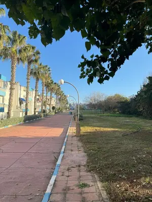 a sidewalk with palm trees and a street light at Appartement pour la CAN, Palm Beach - Mansouria in Mohammedia