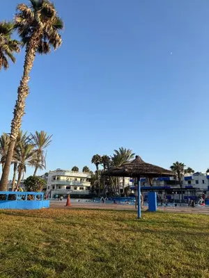 a palm tree in a park next to a beach at Appartement pour la CAN, Palm Beach - Mansouria in Mohammedia