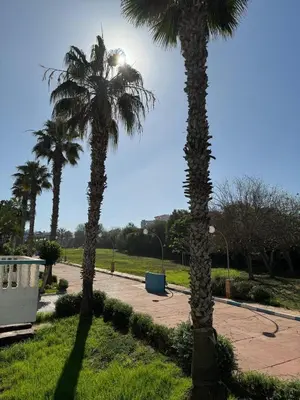 two palm trees in a park with a sidewalk at Appartement pour la CAN, Palm Beach - Mansouria in Mohammedia