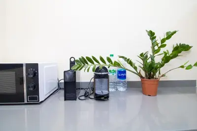 a kitchen counter with a microwave and a plant at Bourgogne Bliss in Casablanca