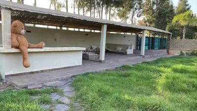 a teddy bear sitting on the side of a building at Dream villa with a pool