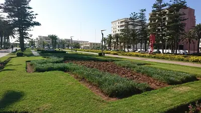 a row of plants in a park next to a street at 2 rooms in Park near Beach and Golf in Mohammedia