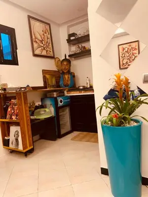 a kitchen with a counter and a vase with a plant at Studio Corniche Casablanca in Casablanca