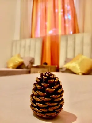 a pine cone sitting on top of a table at Plage à Pied Refuge Relaxant Design Moderne in Tamaris