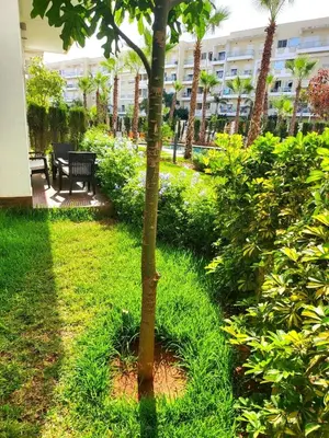 a tree in the middle of a yard with a bench at Bouznika Apartement de luxe 2 Chambres RDC in Bouznika