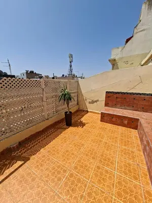a potted plant sitting on top of a patio at Petit Nid Casablanca in Casablanca