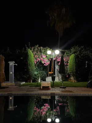 a park at night with a bench and pink flowers at High Standing Duplex - Pool Sun in Mohammedia