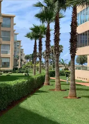 a row of palm trees in a park next to a building at Appartement vue à la mer Bouznika in Sidi el Haj Bou Derbala