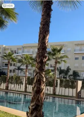 a palm tree next to a pool in front of a building at Luxe appartement in Bouznika
