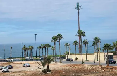 a parking lot with palm trees and the ocean at Horizon bleu in Rabat