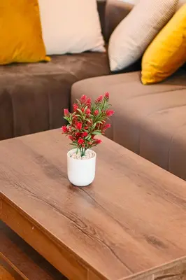 a plant on a coffee table in front of a couch at Lagoon Garden - 2 chambres proche Plage avec Piscine in Skhirat