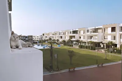 a white cat laying on the ledge of a building at Modern apartment with pool parking in O Ben Slimane