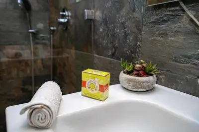 a bathroom sink with a box and a plant on it at escapade de luxe face a la mer in Rabat
