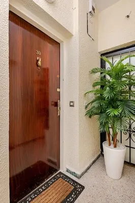 a plant in a pot next to a door at Centre rabat agdal 10min of stade molay aabdellah in Rabat