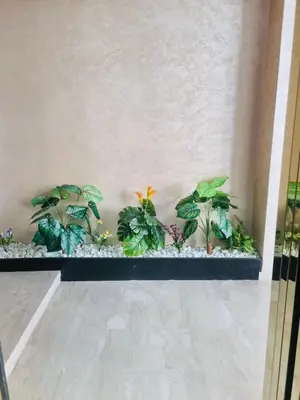 a row of plants on a shelf in a room at BenHost Appartement Casablanca Maarif in Casablanca