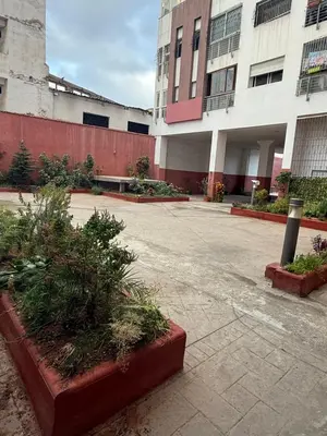 Gallery image of Dream appartement in Casablanca