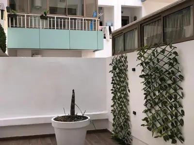 a plant in a pot next to a building at Apartment with large terrace Mohammedia in Mohammedia