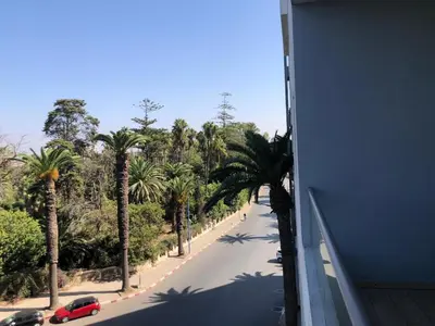 a street with palm trees and a car on a road at CAN25 2ch au centre de mohammedia in Mohammedia