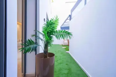 a plant in a pot on a floor next to a window at MAYA SUITES - Corniche Seaside in Casablanca