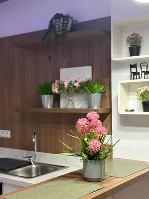 a kitchen with potted plants on a counter with a sink at Elégance & Confort in Rabat