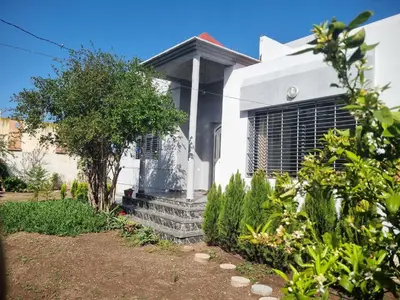 a white house with a window and some plants at ALTIS Immo Authentic House in Casablanca