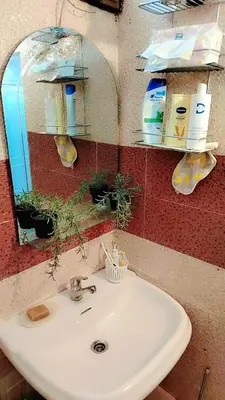 a bathroom sink with a mirror and plants on it at Appartement au centre rabat dyour jamaa in Rabat