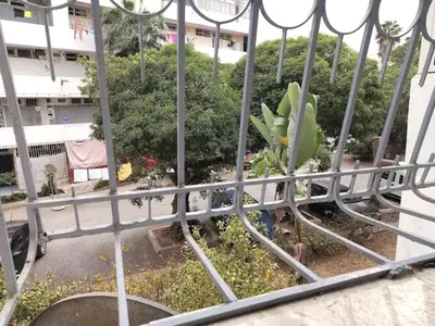 a green plant is growing on a balcony at Appartement au centre rabat dyour jamaa in Rabat