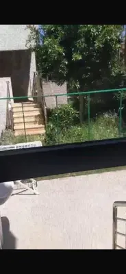 a bird sitting on the ground in front of a window at Appartement de haut standing à EL MANSOURIA residence EBLA in Pont Blondin