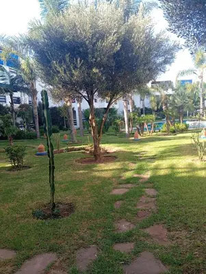 a park with a tree and a pole in the grass at Beach apartment with pool Skhirat beach in Skhirat