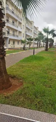 a palm tree in front of a building at appartement luxe dt3 in Mohammedia