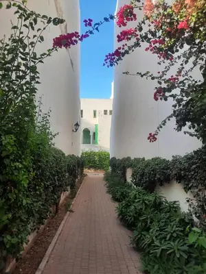 a brick path between two white buildings with flowers at Casitademama in Sidi Yahia az Zaʼer
