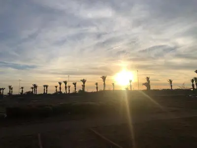 a sunset with palm trees and the sun in the sky at Park Plaza studio quiet comfort No one opposite in Mohammedia