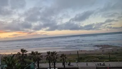 a view of a beach with palm trees and the ocean at Cosy home in Casablanca