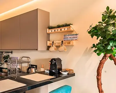 a kitchen with a counter with a coffee maker and a plant at Appartement Cosy neuf - Salle de sport in Casablanca