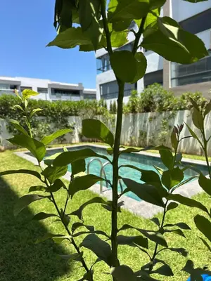 a plant in front of a swimming pool at Luxurious Apartment with Serene Garden & Private Pool in Casablanca