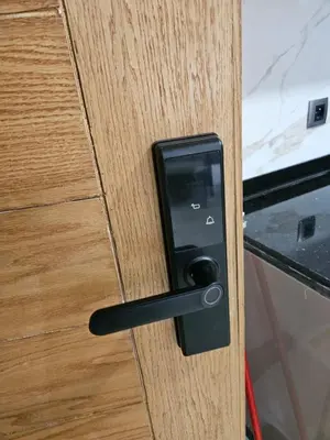 a black door handle on a wooden door at Casablanca premium Suite,wifi,parking in Casablanca