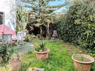 a garden with three potted plants in the grass at Cosy and Spacious 4BR villa 5 min to Hay Riad in Temara