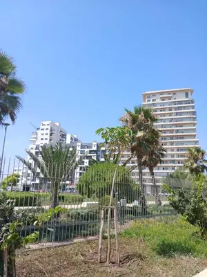 a fence with palm trees and buildings in the background at Cozy 2-bedroom apartment, pool view with beach access a Zenata City Eco Casablanca in Oulad Akkou