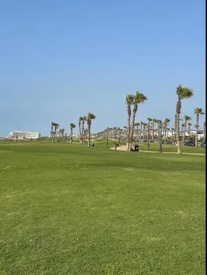 a green field with palm trees and a park at T3 Moderne proche Ocean in Rabat