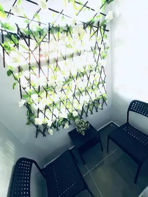 a hanging plant with white flowers on a wall at Elegant house for you in Ain Sebaa 4 in Casablanca