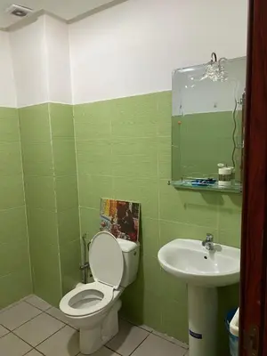 a green bathroom with a toilet and a sink at Appartement de standing au cœur du quartier historique des Habous in Casablanca
