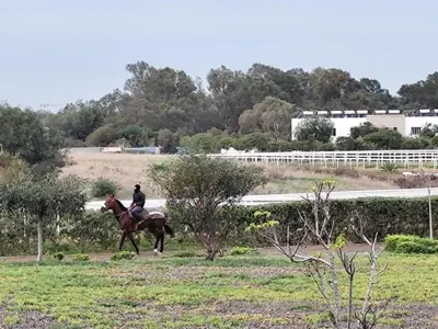 a person riding a horse in a field at Évasion Marine & piscine 3 chambres in Bouznika