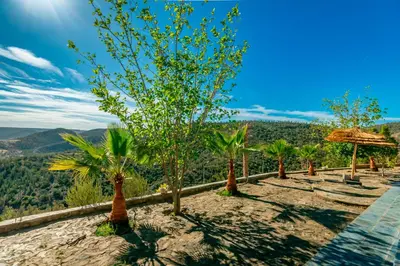 a row of trees on top of a mountain at La Tulipe de Zaer - Maison de Campagne vue Montagnes - Piscine Privée