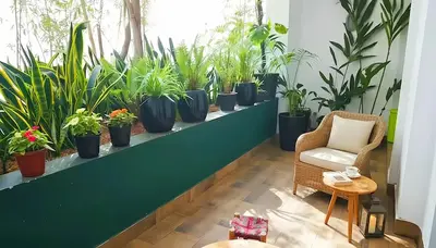 a room with a row of potted plants at Maya Suites - Cozy Flat with Terrace & Garden in Casablanca